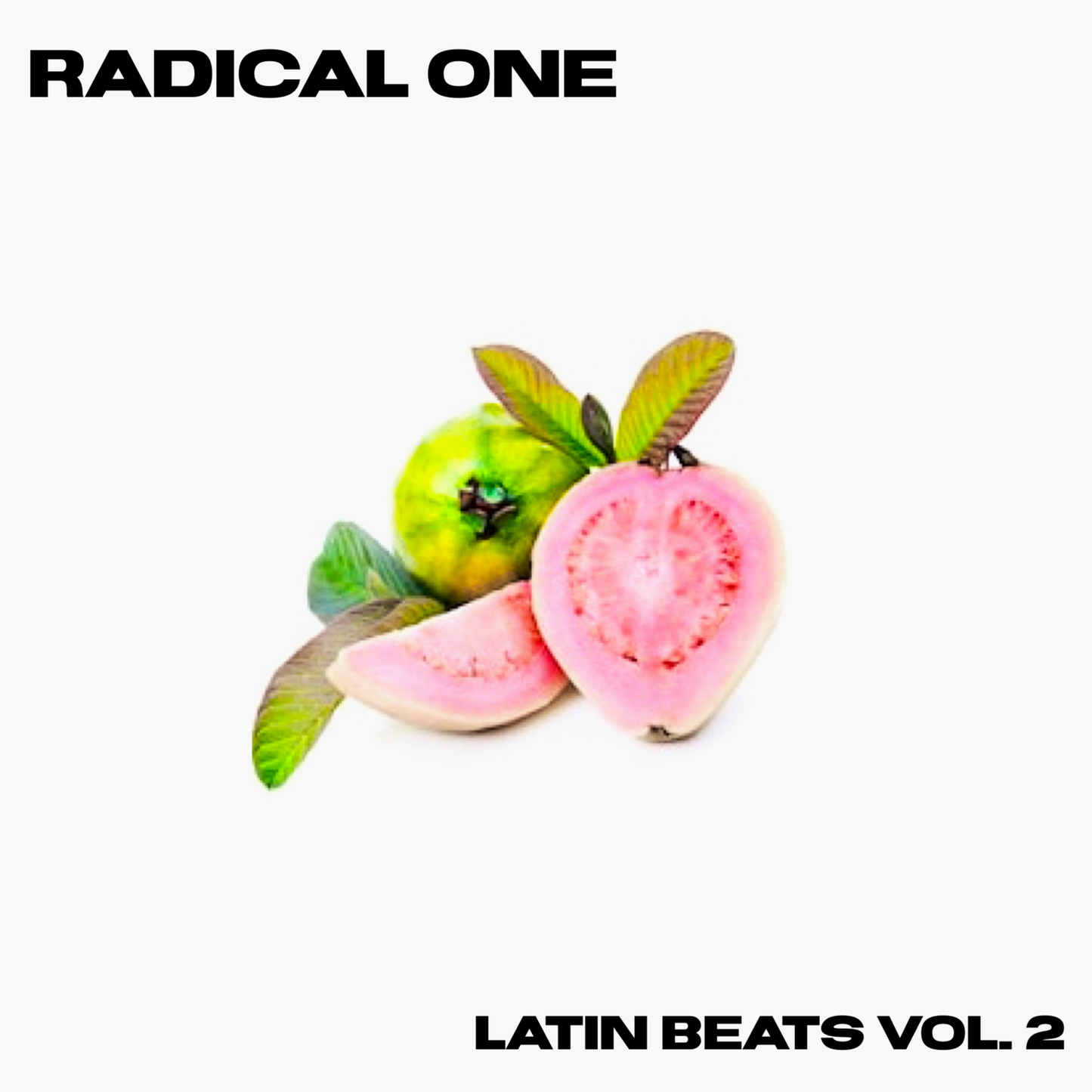 Radical One - Latin Beat Kit Vol. 2